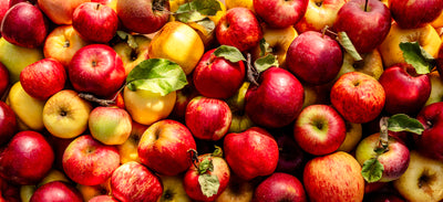 Little Apple Treats orchard apples photographed by Nicola Parisi — homepage banner preview