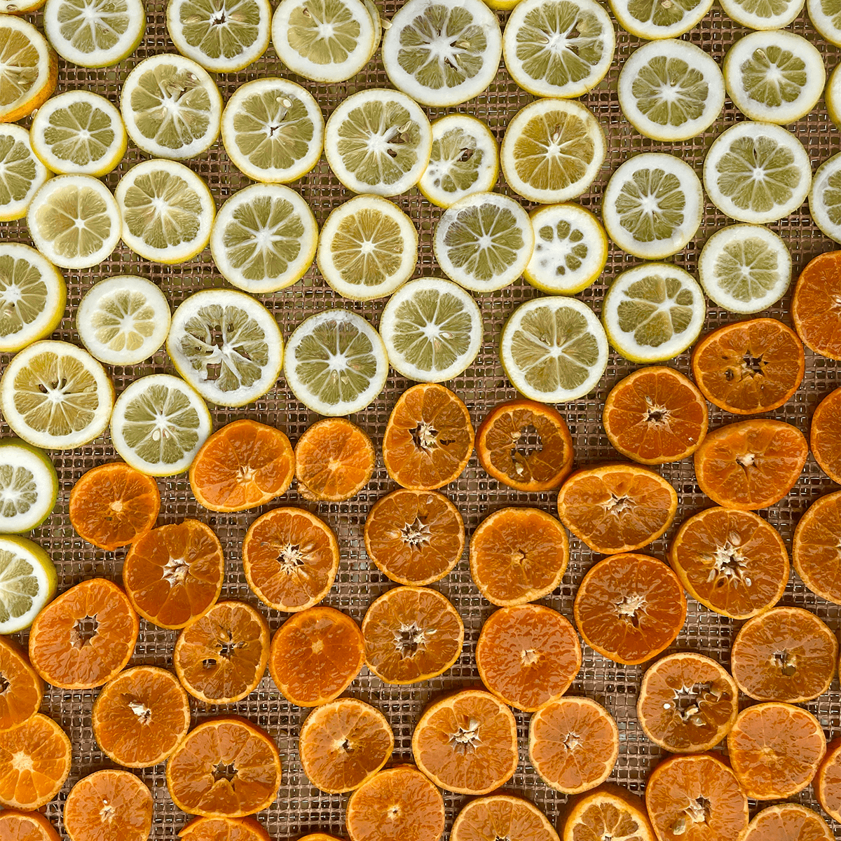 California Citrus Gems-Fruit Snacks-Little Apple Treats